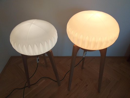 Large Mid-Century Floor Lamps from Krásná Jizba for ÚLUV, 1970s, Set of 2-TZ-666623