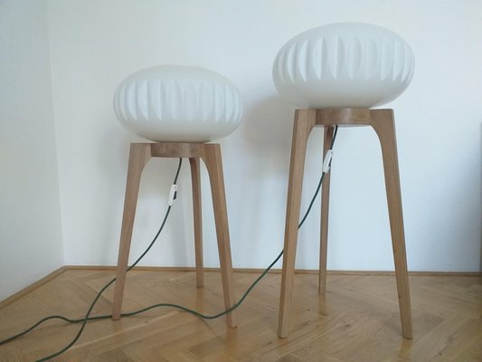 Large Mid-Century Floor Lamps from Krásná Jizba for ÚLUV, 1970s, Set of 2-TZ-666623