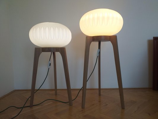 Large Mid-Century Floor Lamps from Krásná Jizba for ÚLUV, 1970s, Set of 2-TZ-666623