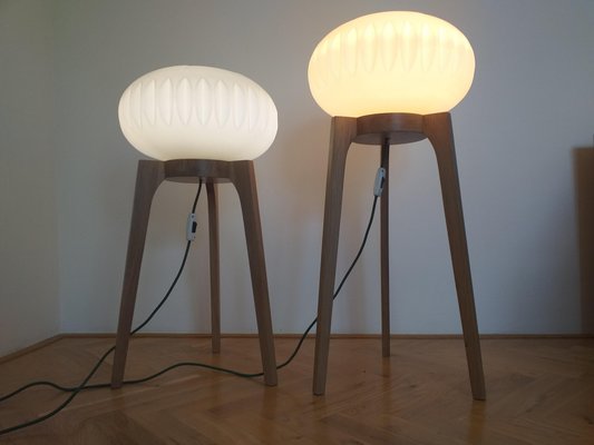 Large Mid-Century Floor Lamps from Krásná Jizba for ÚLUV, 1970s, Set of 2-TZ-666623