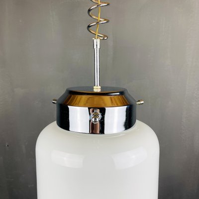 Large Mid-Century Murano Glass Pendant Lamp from Mazzega, 1960s-WQC-884721