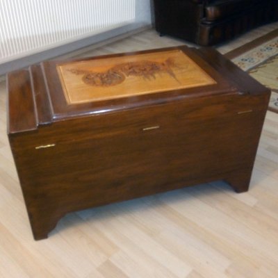 Large Mid-Century Oriental Camphor Wood Chest or Trunk, China, 1940s-YGE-974714