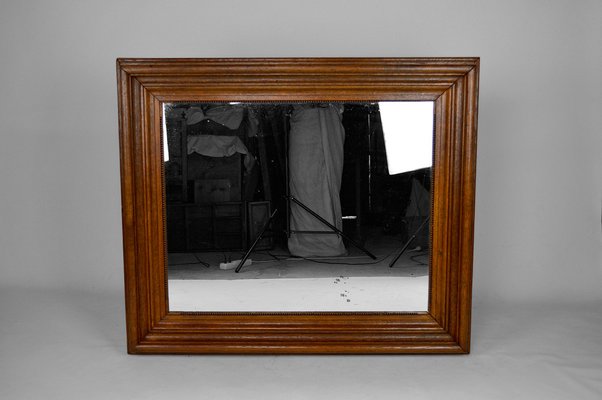 Large Napoleon III Mirror in Molded Oak, France, 1860s-XNH-1021690