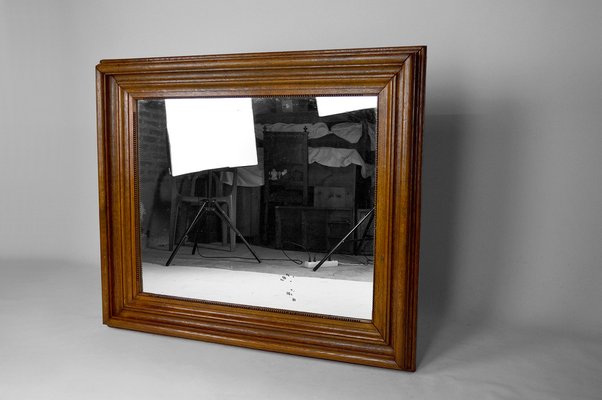 Large Napoleon III Mirror in Molded Oak, France, 1860s-XNH-1021690