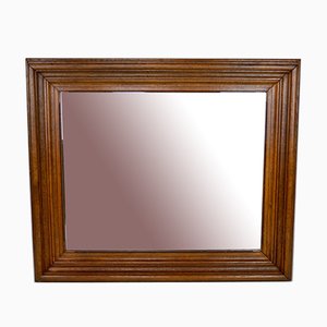 Large Napoleon III Mirror in Molded Oak, France, 1860s-XNH-1021690