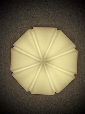 Large Opal Glass Ceiling Wall Light from Peill & Putzler, 1960s-PYR-1315187