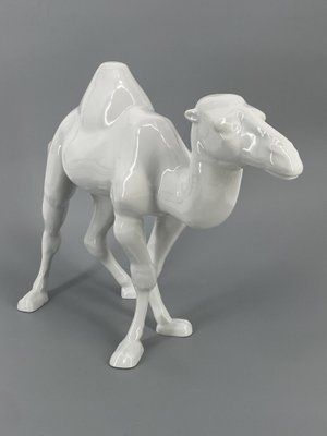 Large Porcelain Dromedary Figure from Goebel, Germany, 1984-CZ-2025362