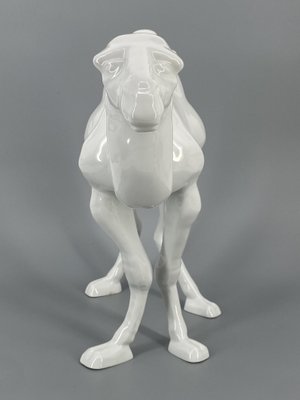 Large Porcelain Dromedary Figure from Goebel, Germany, 1984-CZ-2025362