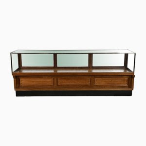 Large Showcase in Rosewood and Brass-NQ-1271739