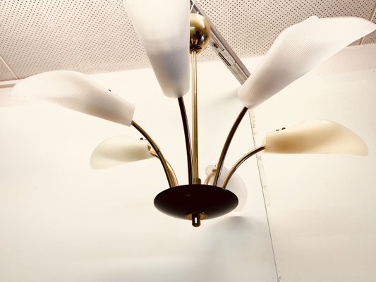 Large Sputnik Spider Floral 6-Arm Ceiling Lamp in Plastic & Brass, 1950s-PYR-766750