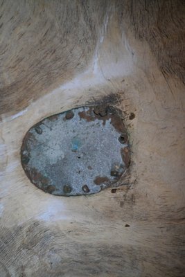 Large Swedish Burl Birch Bowl, 1800s-DAL-1799528