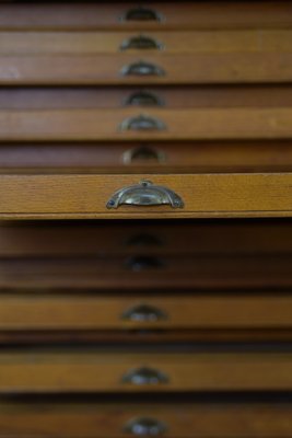 Large Vintage Industrial Oak File Cabinet with Multiple Drawers, 1930s-ZAA-1239105