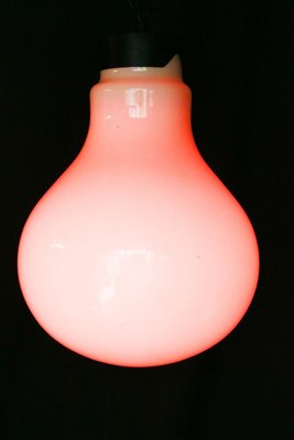 Large Vintage Lightbulb-Shaped Pendant Lamp-XTS-910774