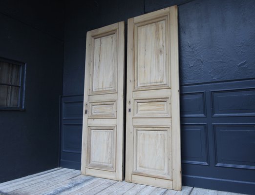 Late 19th Century French Pine Doors, 1890s, Set of 2-TAT-1751872