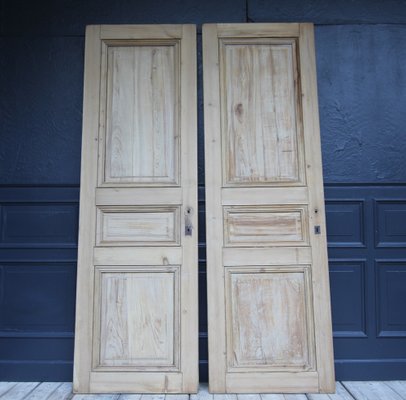 Late 19th Century French Pine Doors, 1890s, Set of 2-TAT-1751872