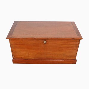 Late 19th Century Mahogany Travel Trunk-RVK-1386803