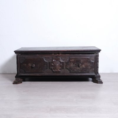 Late 19th Century Revisited Wooden Chest with Single Drawer with Two Compartments-XSG-2040972