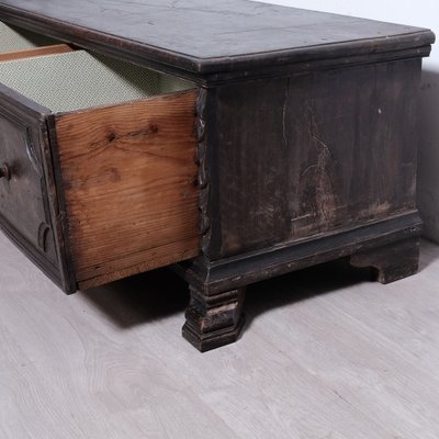 Late 19th Century Revisited Wooden Chest with Single Drawer with Two Compartments-XSG-2040972