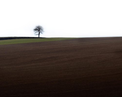 Laurent Campus, Loneliness, 2011, Archival Pigment Print-OBQ-1706877