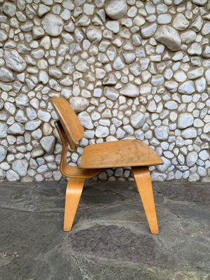 LCW Lounge Chair in Birch by Charles & Ray Eames for Herman Miller, 1950s-ZM-1765210