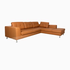 Leather Corner Sofa by Ewald Schillig-RQW-2041464