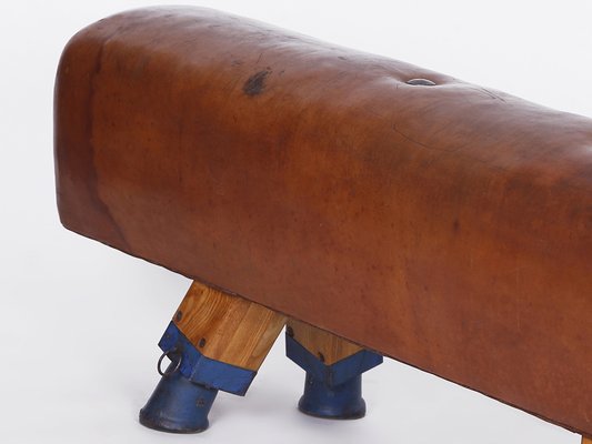 Leather Pommel Horse or Bench, 1930s-TW-1363281