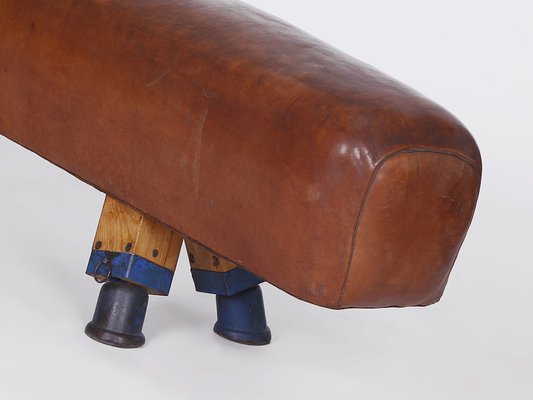 Leather Pommel Horse or Bench, 1930s-TW-1363281