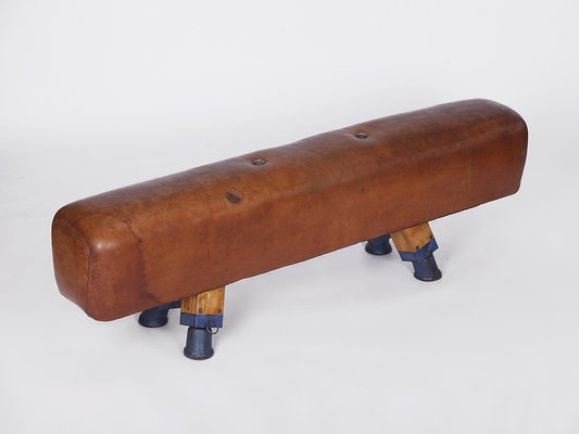 Leather Pommel Horse or Bench, 1930s-TW-1363281