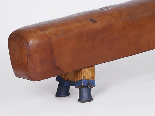 Leather Pommel Horse or Bench, 1930s-TW-1363281