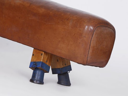 Leather Pommel Horse or Bench, 1930s-TW-1363281