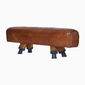 Leather Pommel Horse or Bench, 1930s-TW-1363281