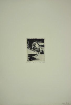 Leo Guida, Bird, Etching, 1972-ZCI-880410