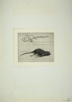 Leo Guida, The Rat, Etching, 1972-ZCI-880401