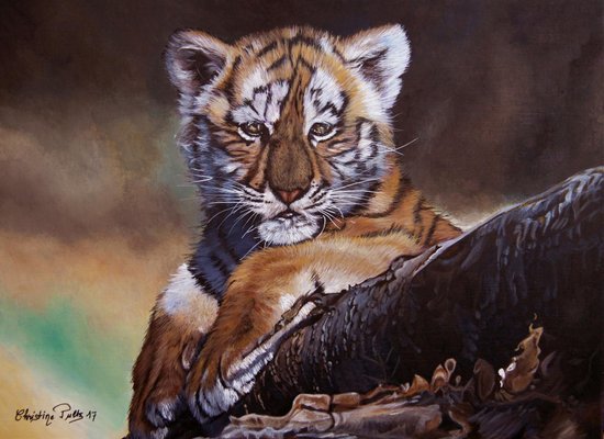 Little One, the Baby Tiger, 2017-CHG-918481