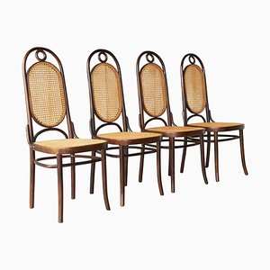 Long John Highback Bentwood Dining Chairs from Thonet, 1940s, Set of 4-FEW-2024233