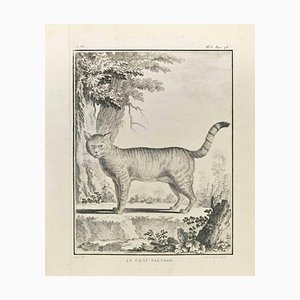 Louis Legrand, Le Chat Sauvage, Etching, 1771-ZCI-2030096