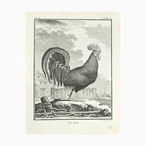 Louis Legrand, Le Coq, Etching, 1771-ZCI-2029951