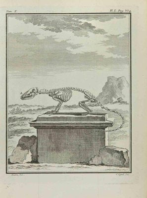 Louis Legrand, Skeleton, Etching, 1771-ZCI-2029741