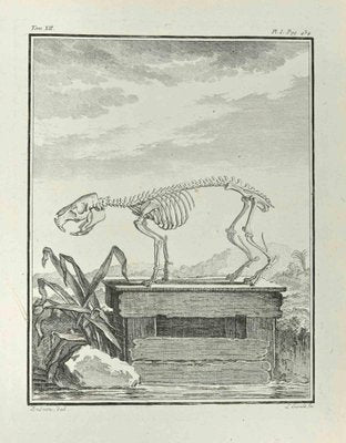 Louis Legrand, Skeleton, Etching, 1771-ZCI-2029914