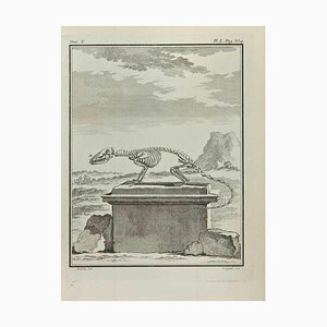 Louis Legrand, Skeleton, Etching, 1771-ZCI-2029741