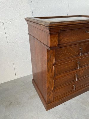 Louis-Philippe Cabinet in Oak, 1840s-UQL-1730131