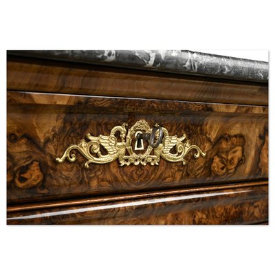 Louis Philippe Dresser, 19th Century-NQ-1736496