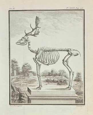 Louis Simon Lempereur, Skeleton, Etching, 1771-ZCI-2030120