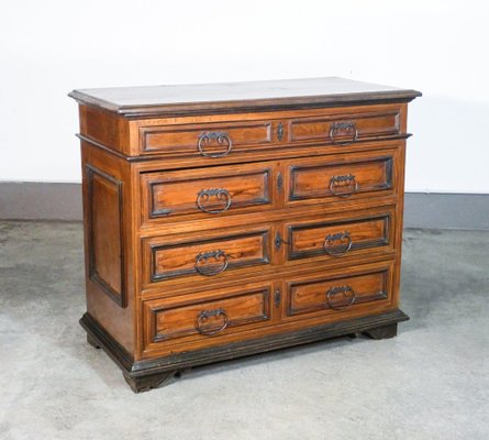 Louis XIV Walnut and Briarwood Discò Canterano, 1700s-OJE-1420100