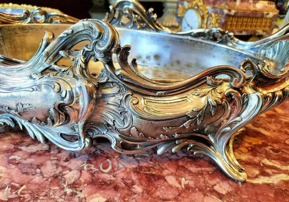 Louis XV Style Silver Plated Bronze Jardiniere, 1800s-WFS-1801565