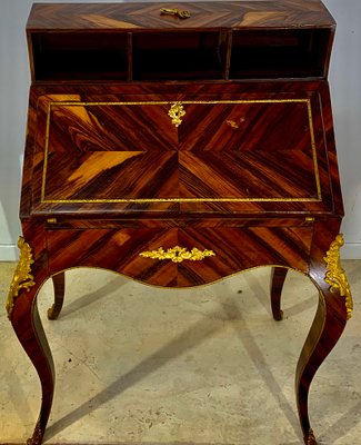 Louis XV Style Slope Desk in Precious Wood Marquetry, 1890s-EQU-1417790