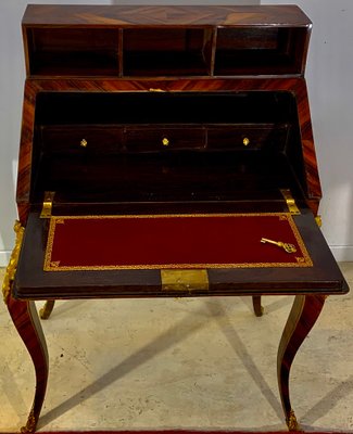 Louis XV Style Slope Desk in Precious Wood Marquetry, 1890s-EQU-1417790