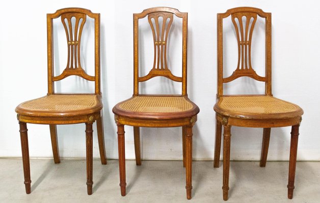 Louis XVI Style French Caned Dining Chairs or Side Chairs, Set of 2-RIU-857526