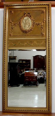 Louis XVI Style Pier Mirror, 1900s-RVK-944896