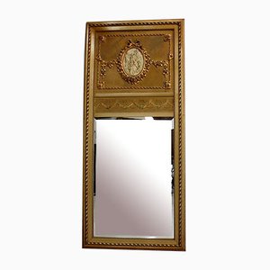 Louis XVI Style Pier Mirror, 1900s-RVK-944896